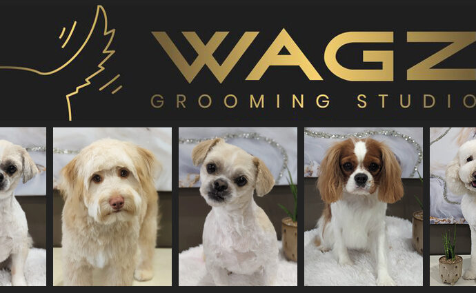 WAGZ grooming studio Thorold