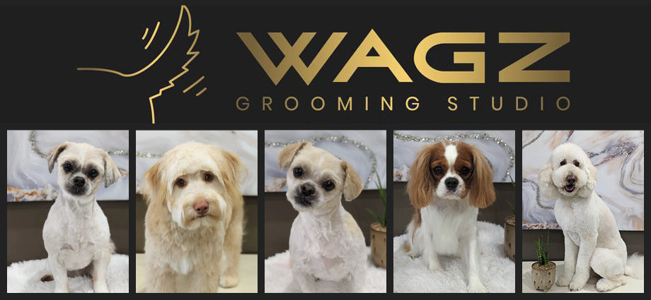 WAGZ grooming studio Thorold